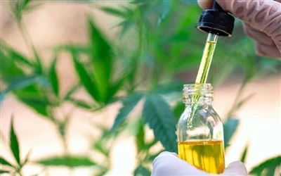 9 مزایای سلامتی روغن CBD - و عوارض جانبی