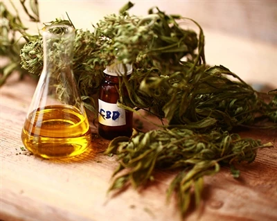CBD چگونه کار می کند؟