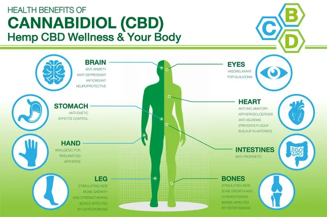 5 مزیت برتر سلامتی روغن CBD - و نگاهی به عوارض جانبی