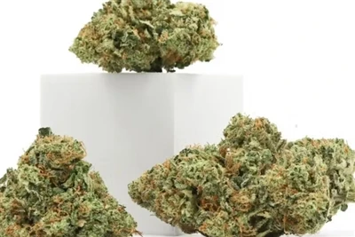 چرا CBD بهترین بالم لب طبیعی را می سازد؟